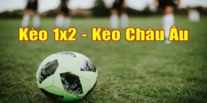 Kèo Châu Âu FB88 - Hướng Dẫn Cách Chơi Đơn Giản Và Dễ Hiểu