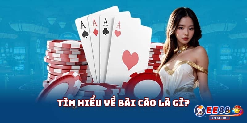 Tìm hiểu về bài cào là gì?