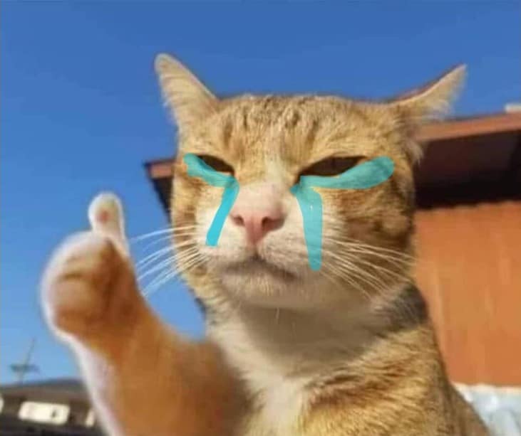 Con meo vua khoc vua tha like