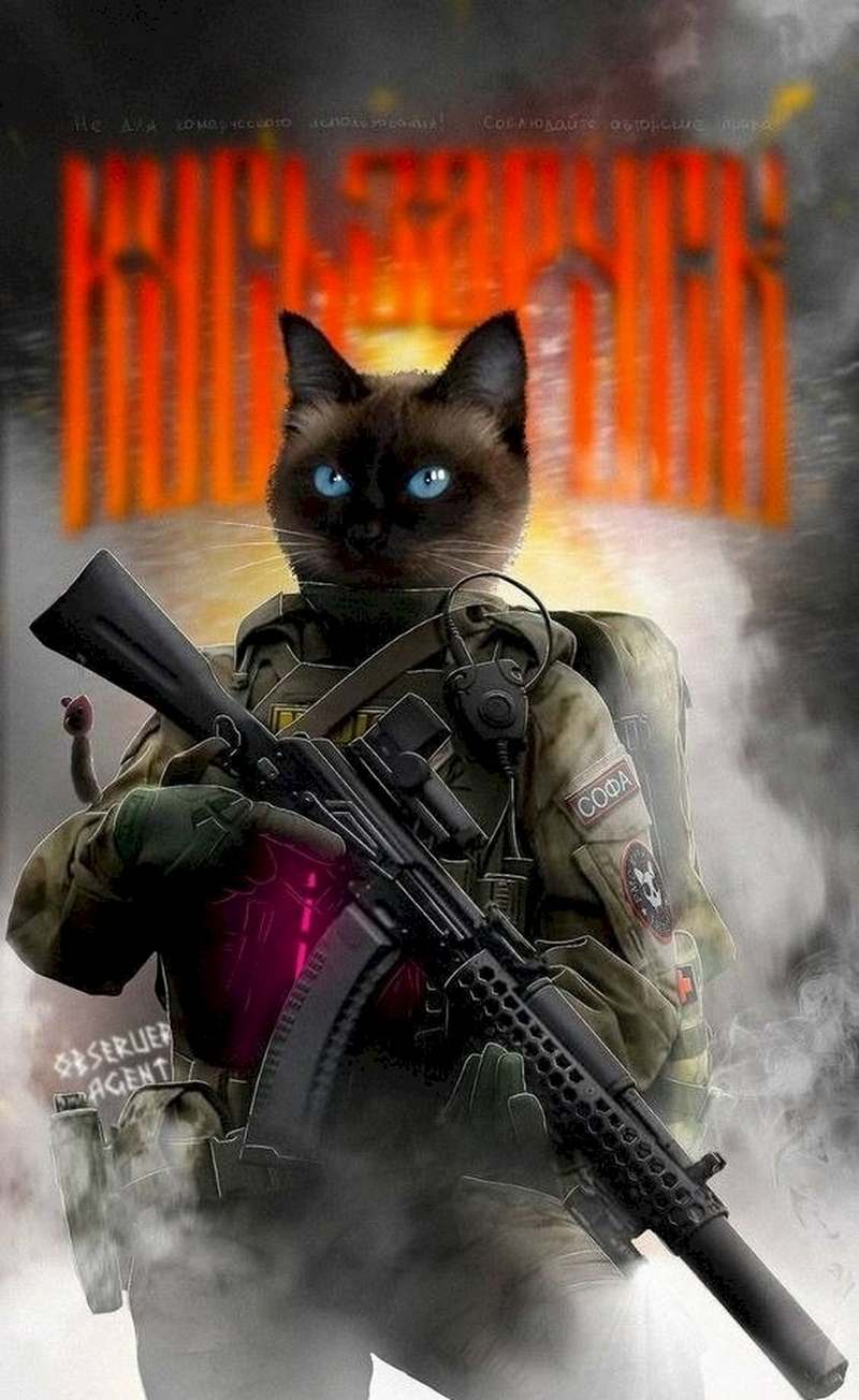 Hinh meo cam sung Free Fire ngau moi nhat