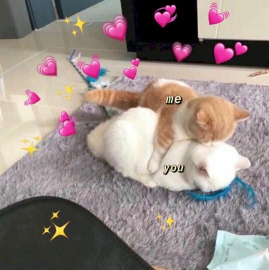 Meo Om An Ui