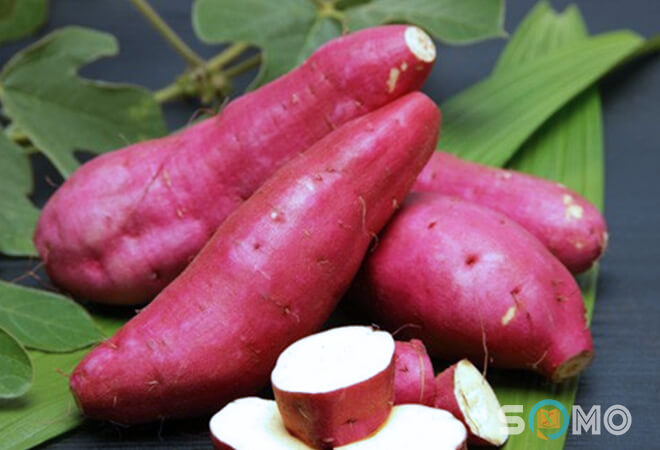 mơ thấy củ khoai đánh lô đề con gì