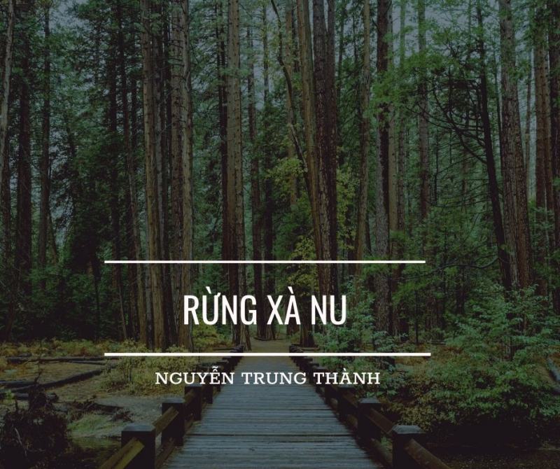 Bài văn phân tích tác phẩm 