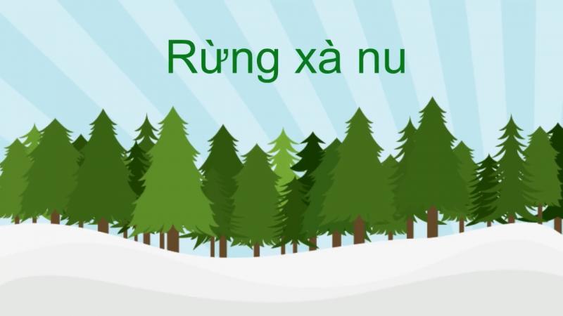 Bài văn phân tích tác phẩm 