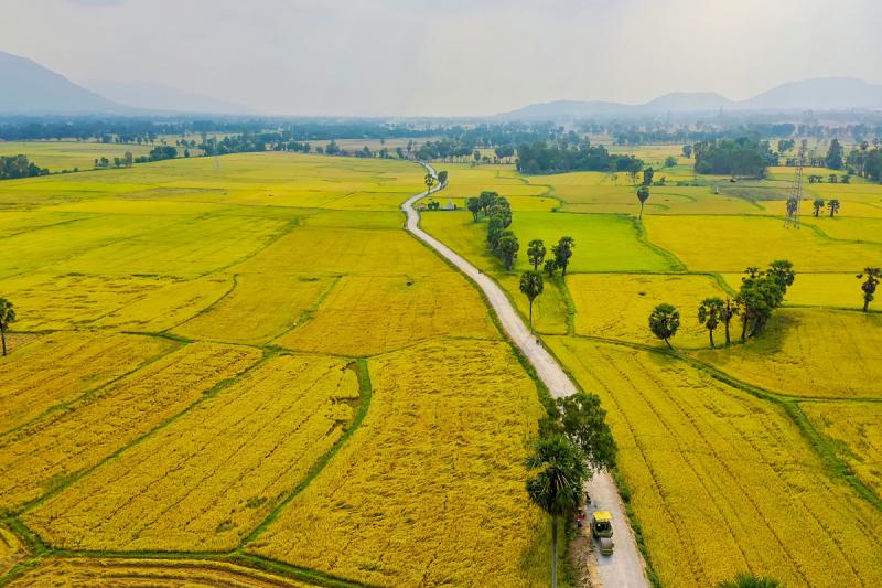 Ảnh minh họa (Nguồn internet)