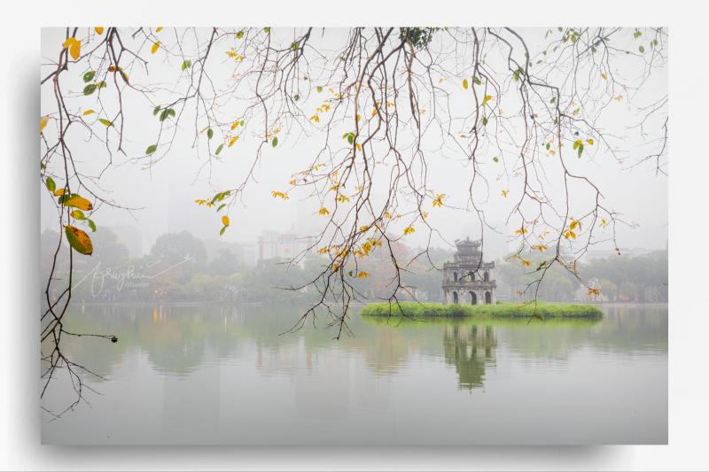 Ảnh minh họa (nguồn internet)