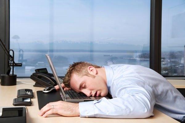 Họ biết khi nào cần phải làm việc, khi nào cần nghỉ ngơi