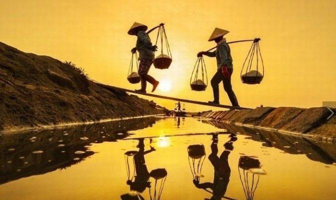 Gửi mẹ